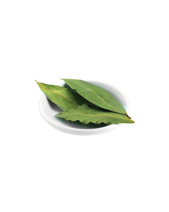 LORBEERBLÄTTER