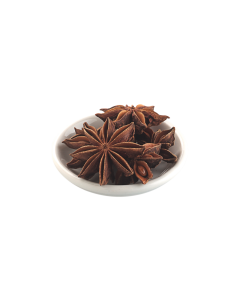 STERNANIS GANZ