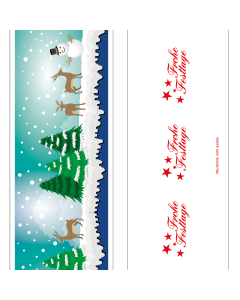 RAPRO 50/21 WE51 AL WE WINTERLANDSCHAFT